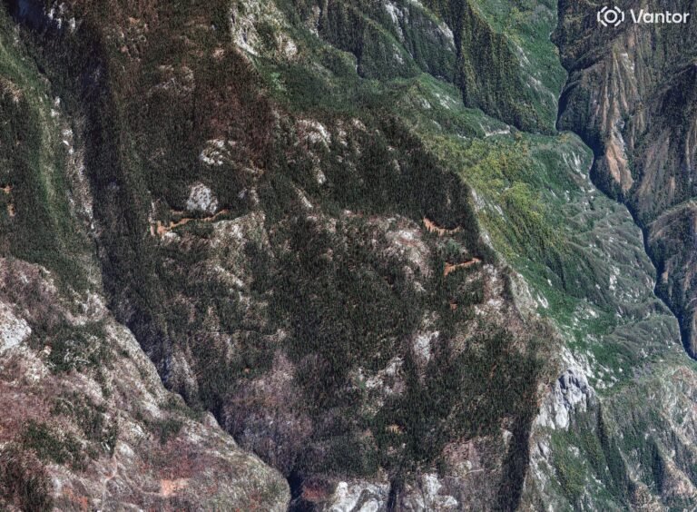 Giant Forest, Sequoia National Park, California — satellite image, 2025, © Vantor
